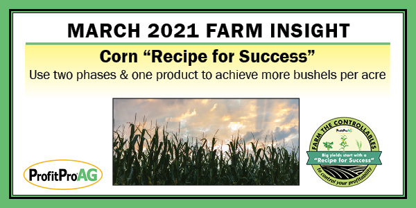 Corn Recipe for Success_8.333×4.167_10-18-21