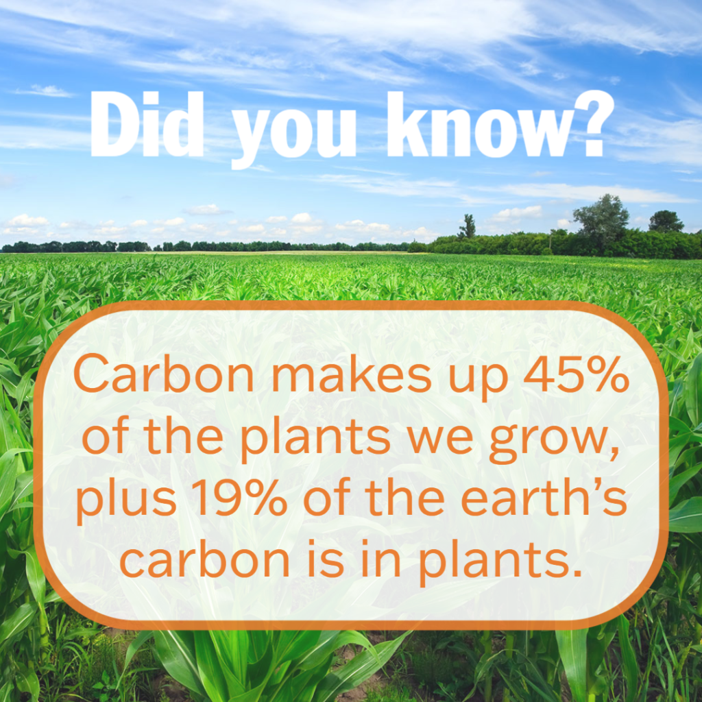 Carbon Facts
